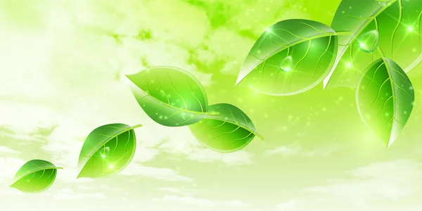 Свіже Зелене Листя Весняний Фон — стоковий вектор