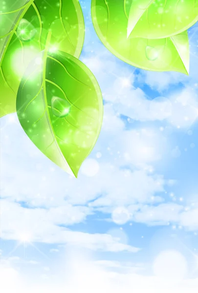 新鲜绿叶春光背景 — 图库矢量图片