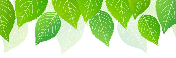Frische Grüne Blätter Frühling Hintergrund — Stockvektor