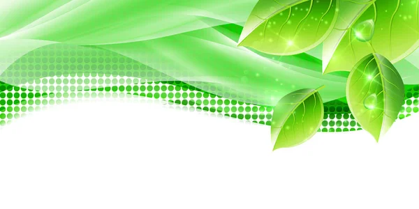 Färska Gröna Blad Våren Bakgrund — Stock vektor