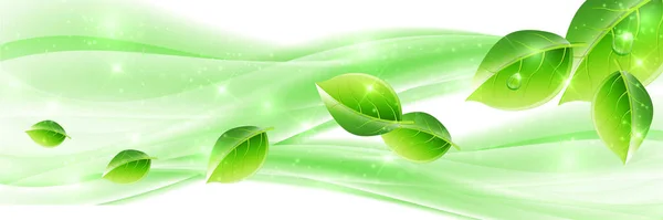 Свіже Зелене Листя Весняний Фон — стоковий вектор