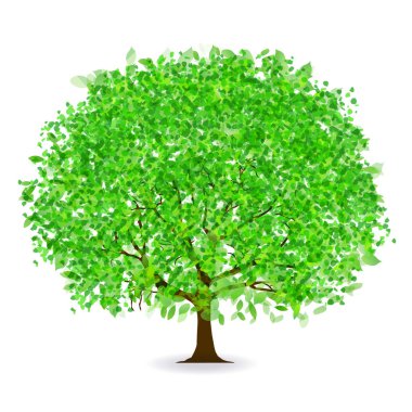 Taze yeşil yaprak bahar simgesi