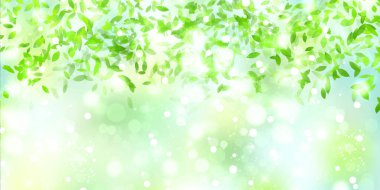 taze yeşil yapraklar bahar arkaplanı 