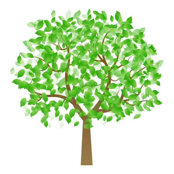 Icono Primavera Hoja Verde Fresca — Vector de stock