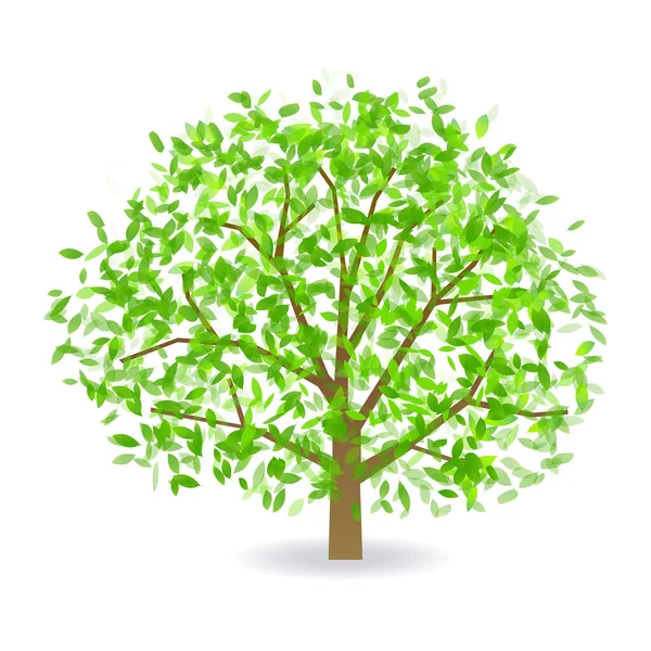 Čerstvě Zelený List Jarní Ikona — Stockový vektor
