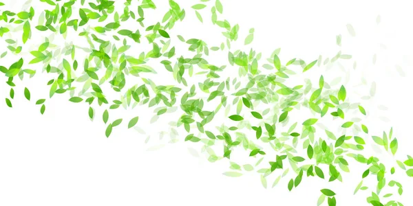 Čerstvé Zelené Listy Jarní Pozadí — Stockový vektor