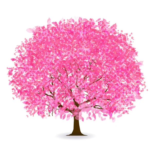 Fleurs Cerisier Icône Fleur Printemps — Image vectorielle