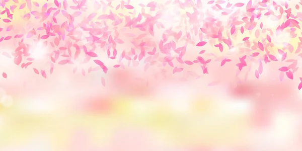 Cherry Blossoms Spring Flower Background — Stock Vector