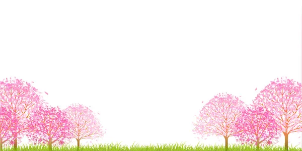 Вишневе Цвітіння Весняний Квітковий Фон — стоковий вектор