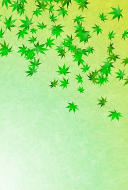 taze yeşil akçaağaç arka plan bırakır 