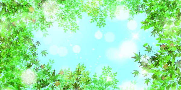 新鲜的绿色枫树叶背景 — 图库矢量图片