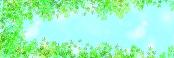 Frische Grüne Ahorn Blätter Hintergrund — Stockvektor