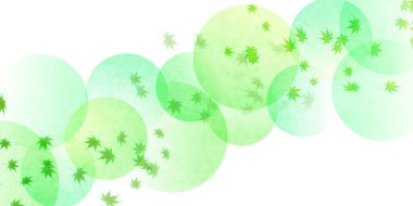 taze yeşil akçaağaç arka plan bırakır 