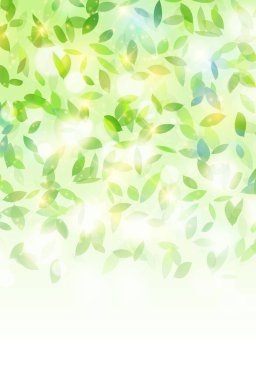 taze yeşil yapraklar bahar arkaplanı 