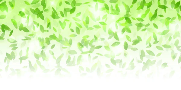 Świeże Zielone Liście Wiosna Tło — Wektor stockowy
