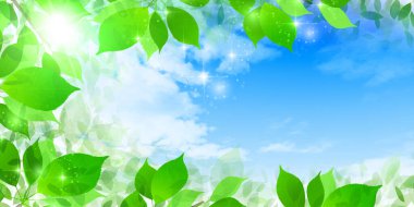 taze yeşil yapraklar bahar arkaplanı