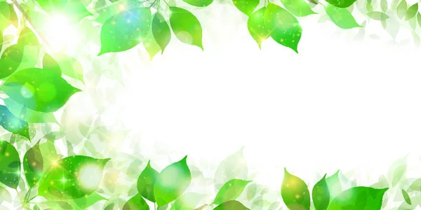 Świeże Zielone Liście Wiosna Tło — Wektor stockowy