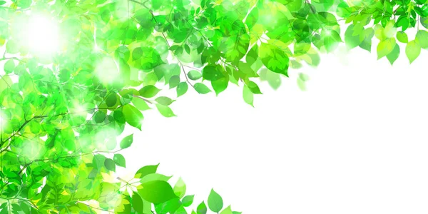 Taze Yeşil Yapraklar Bahar Arkaplanı — Stok Vektör