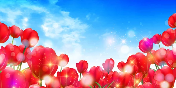 Tulipán Flor Primavera Azul Cielo Fondo — Vector de stock