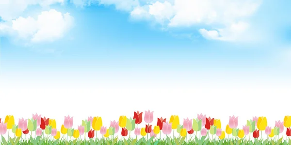 Тюльпан Квітка Весна Блакитне Небо Фон — стоковий вектор