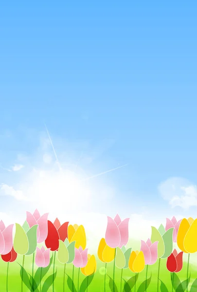 Tulipan Kwiat Wiosna Niebieski Niebo Tło — Wektor stockowy