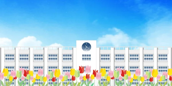 Lale Okulu Çiçek Bahar Arkaplanı — Stok Vektör