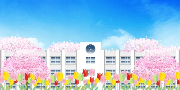 郁金香学花樱花背景 — 图库矢量图片