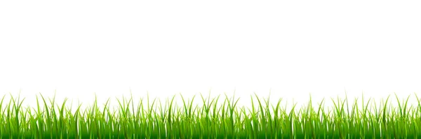 Frisch Grünes Gras Wiese Hintergrund — Stockvektor