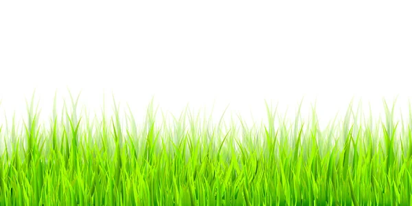 Świeże Zielone Trawa Łąka Tło — Wektor stockowy