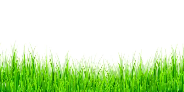 Φρέσκο Πράσινο Γρασίδι Λιβάδι Φόντο — Διανυσματικό Αρχείο