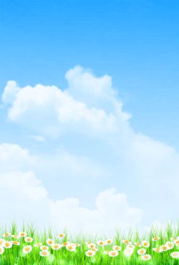 Çayır çiçeği gökyüzü arkaplanı