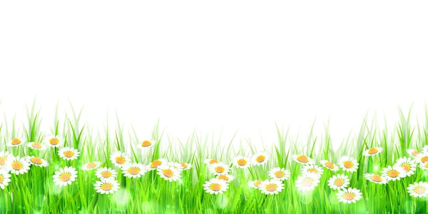 梅朵花景天空背景 — 图库矢量图片