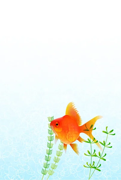 Goldfish Japoński Papier Lato Tło — Wektor stockowy