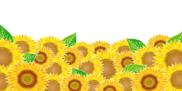 Slunečnice Letní Květina Barevné Pozadí — Stockový vektor