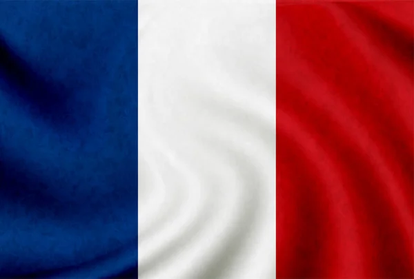 法国国旗图标 — 图库矢量图片
