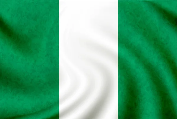 Nigeria Land Nationell Flagga Ikon — Stock vektor
