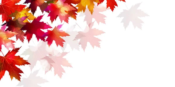 Otoño Hojas Arce Fondo Otoño — Vector de stock