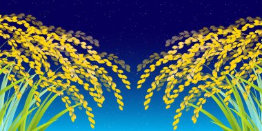 Pirinç, pirinç, sonbahar altın arka plan