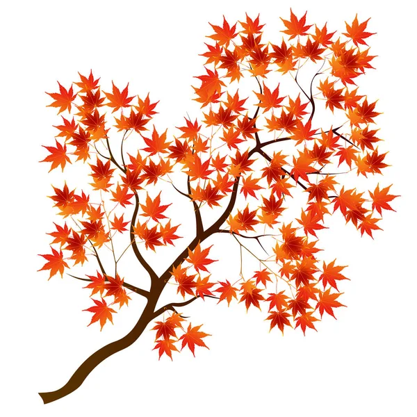 Otoño Hojas Arce Icono Otoño — Vector de stock