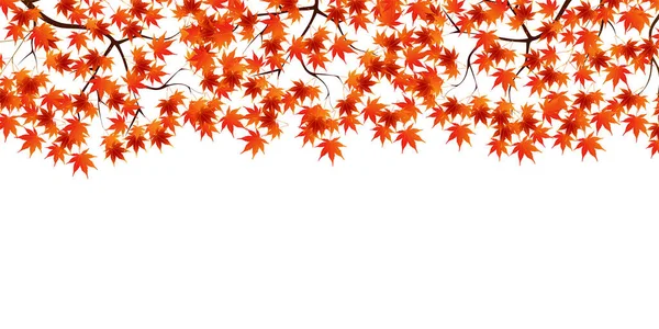 Autumn Leaves Maple Autumn Background — Stock Vector