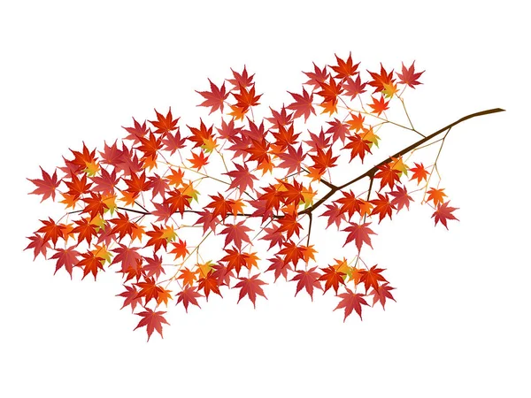 秋天的叶子枫树秋天的图标 — 图库矢量图片