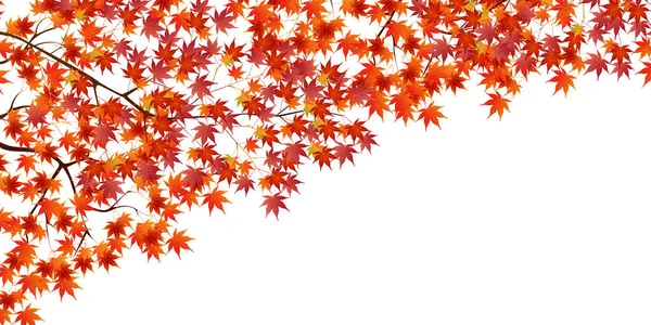 Autumn Leaves Maple Autumn Background — Stock Vector