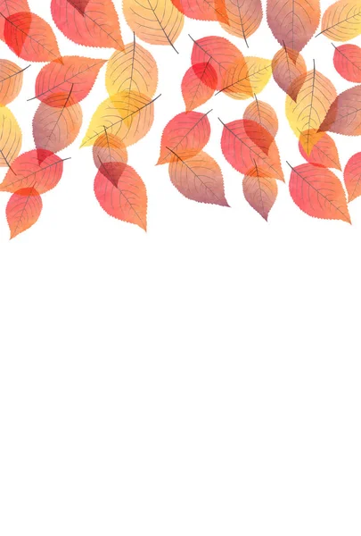 Autumn Leaves Japanese Pattern Autumn Background — Stok Vektör