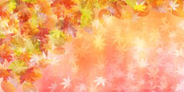 Sonbahar yaprakları akçaağaç sonbahar arkaplanı