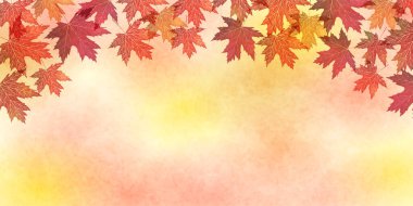 Sonbahar yaprakları akçaağaç sonbahar arkaplanı