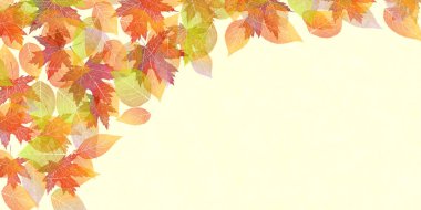 Sonbahar yaprakları akçaağaç sonbahar arkaplanı