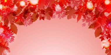 Sonbahar yaprakları akçaağaç sonbahar arkaplanı