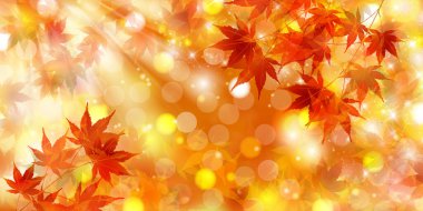 Sonbahar, sonbahar Japon desen arkaplanını terk ediyor