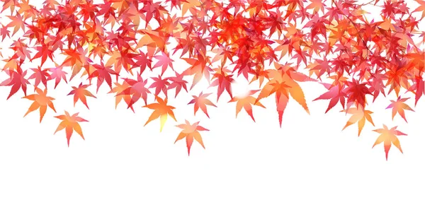 Hojas Otoño Otoño Patrón Japonés Fondo — Vector de stock