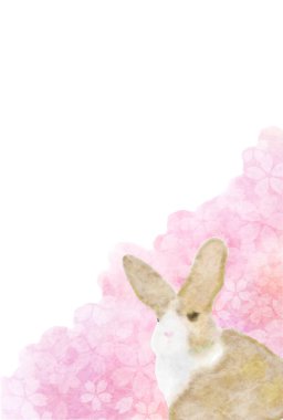 Tavşan Kiraz Çiçeği Yılbaşı kartı geçmişi